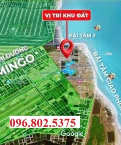 Flamingo Quất Lâm