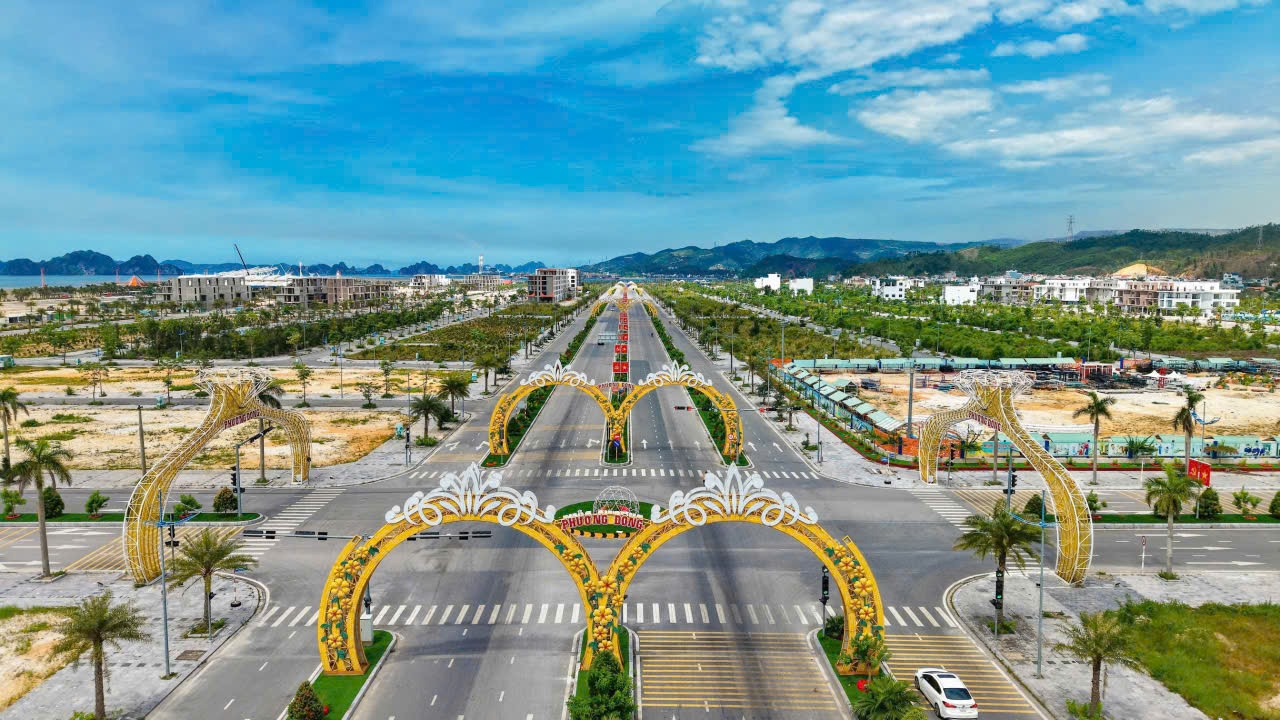 Mua shophouse Phương Đông Vân Đồn kinh doanh gì
