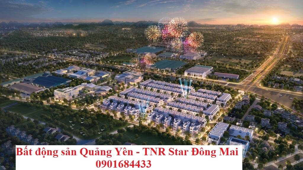 Bất động sản Quảng Yên - TNR Star Đông Mai