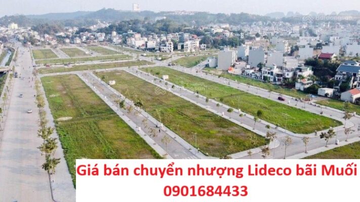 Giá bán chuyển nhượng Lideco Bãi Muối - 0901684433