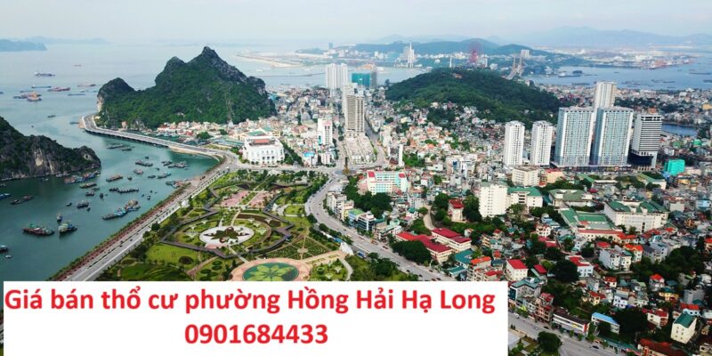 Giá bán thổ cư phường Hồng Hải Hạ Long - 0901684433