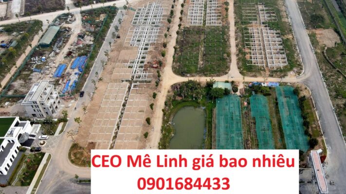 CEO Mê Linh giá bao nhiêu - Hotline: 0901684433