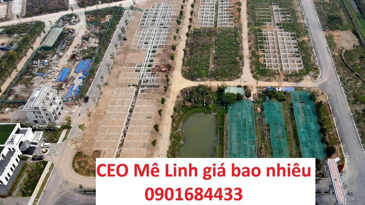 CEO Mê Linh giá bao nhiêu - Hotline: 0901684433