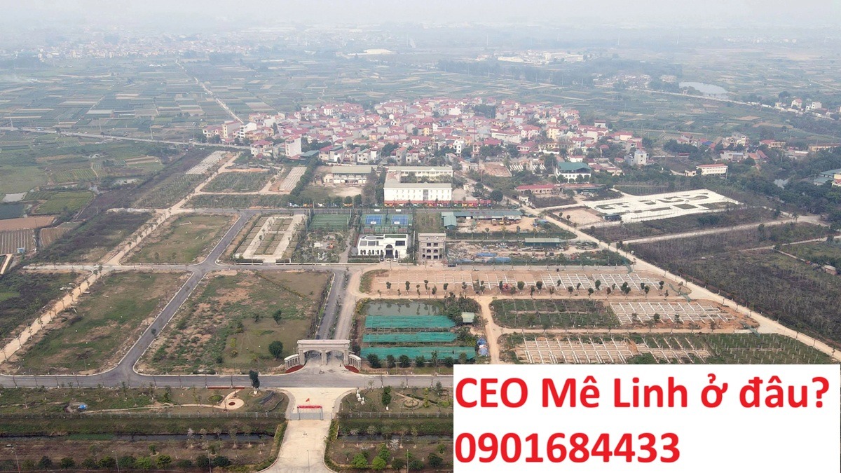 CEO Mê Linh ở đâu? - tải bảng giá CEO Mê Linh: 0901684433