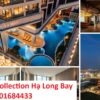 Radisson Collection Hạ Long Bay - Tải bảng giá: 0901684433