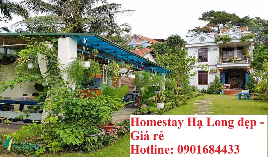 Homestay Hạ Long đẹp giá rẻ - Hotline đặt phòng: 0901684433