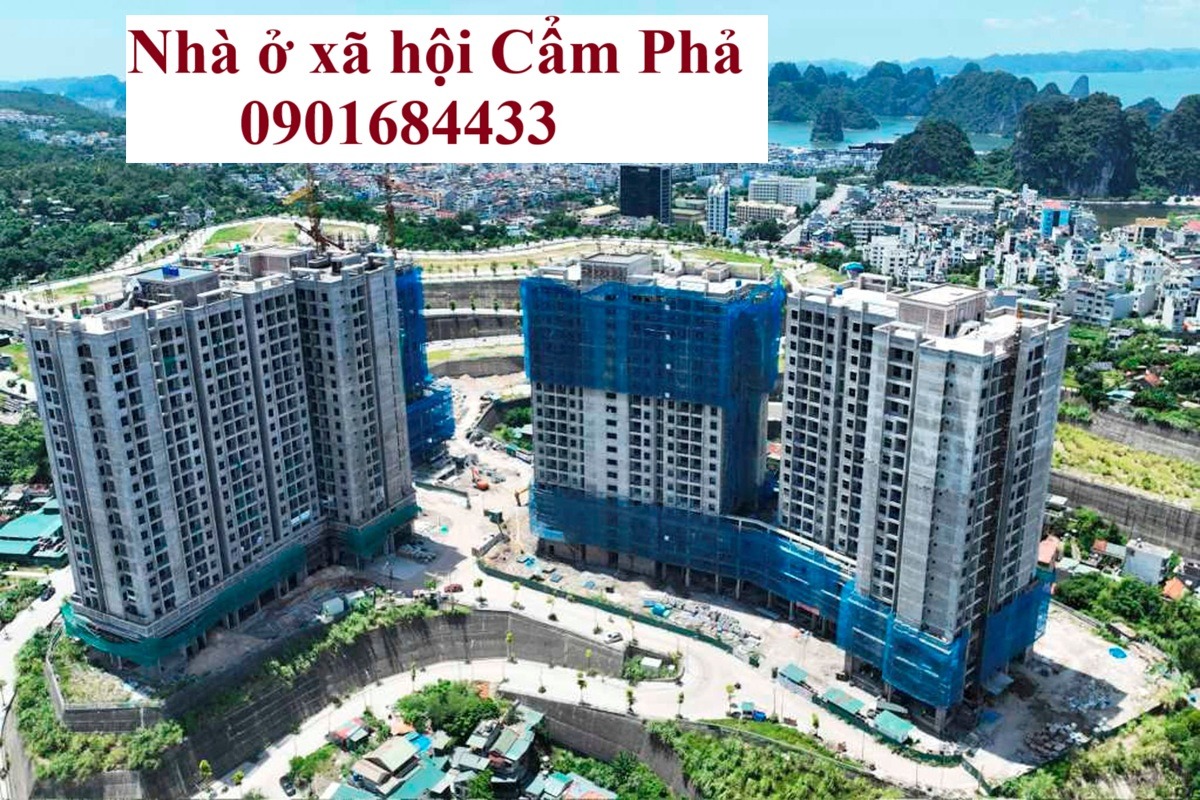 Nhà ở xã hội Cẩm Phả - tư vấn hồ sơ: 0901684433
