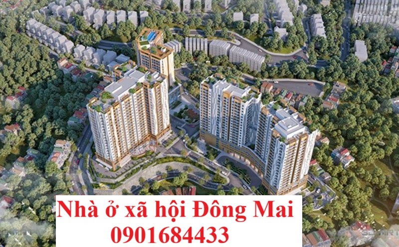Nhà ở xã hội Đông Mai