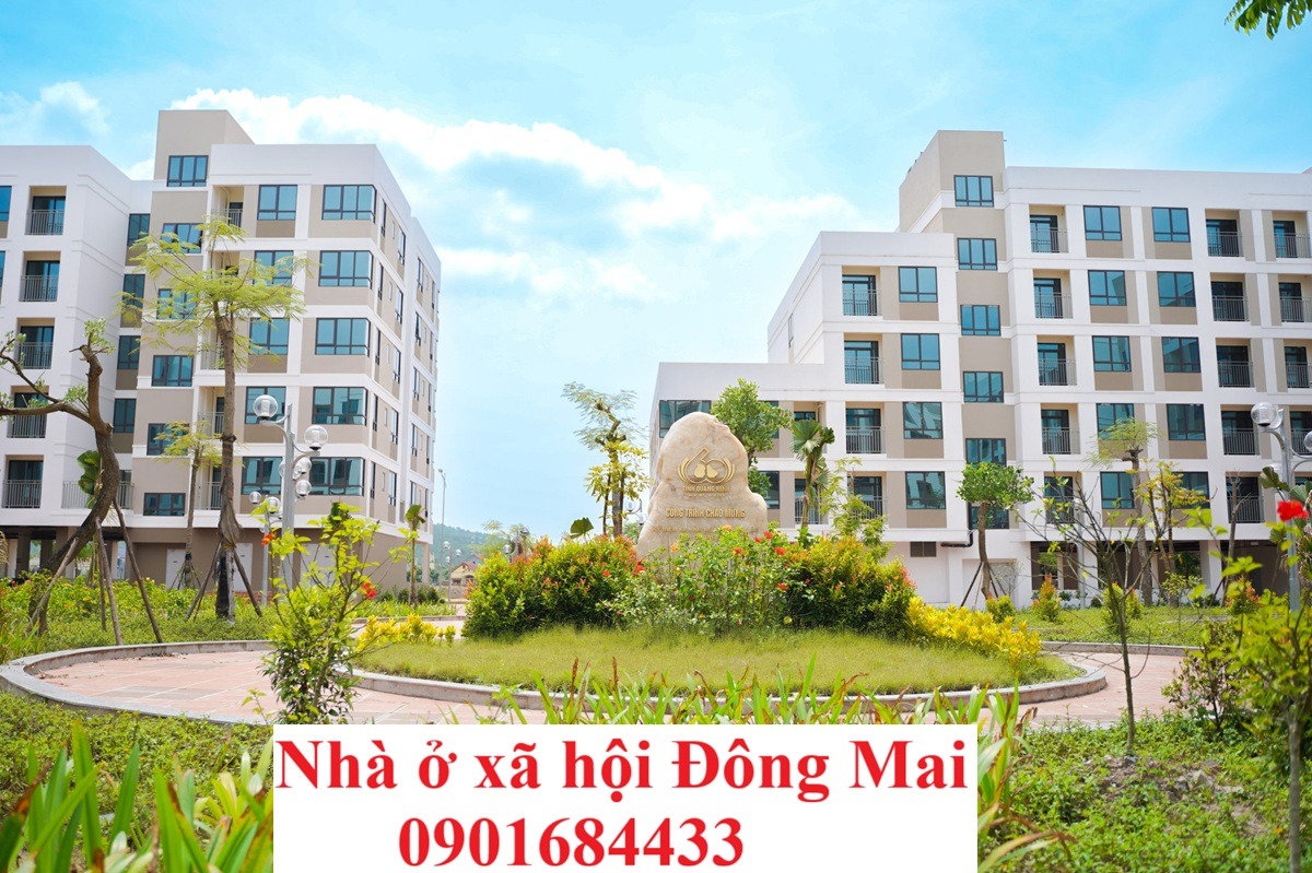 Nhà ở xã hội Đông Mai