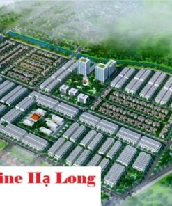 Đất nền Sunshine Hạ Long - Giá bán: 0901684433