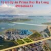 Vị trí Dự án Prima Bay Hạ Long - Giá bán: 0901684433